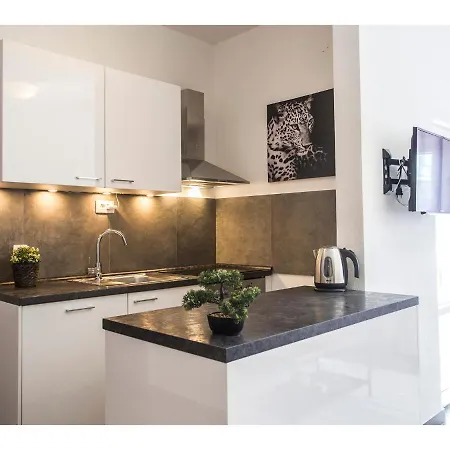 Apartamento Olive Tree *