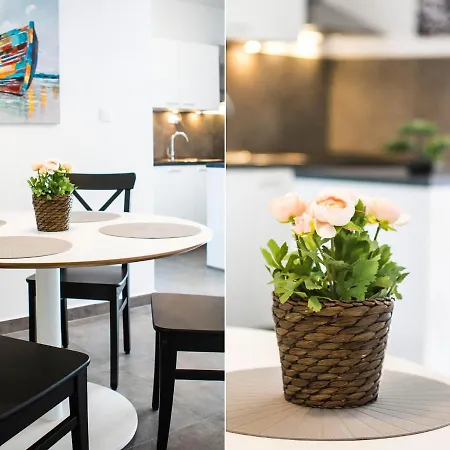 Apartman Olive Tree *