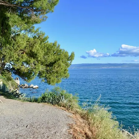 Apartman Olive Tree Split